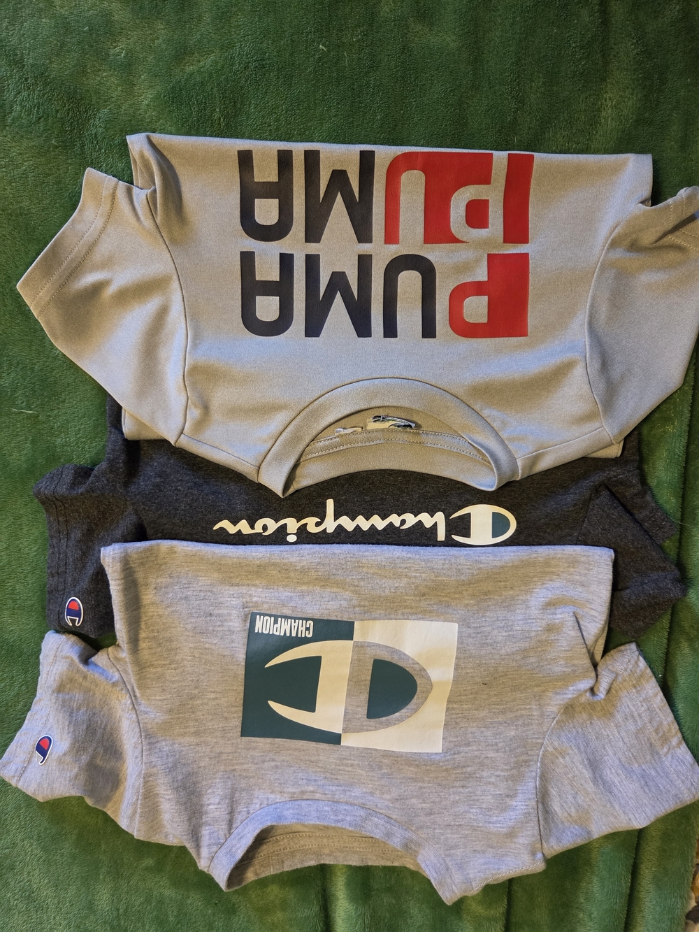 PUMA And CHAMPION Boys 4T Tee Shirts